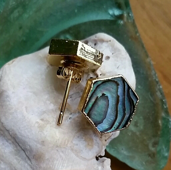 Natural Abalone Shell Earrings - Picture 7 of 8